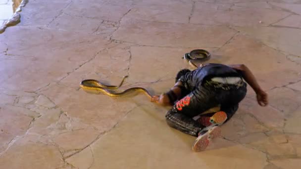 Snake show op het podium in een hotel in Egypte 's nachts. Egypte — Stockvideo