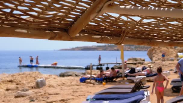 Strand napernyőkkel és napágyak Egyiptomban a Vörös-tengeren. Sunny Resort a zátony partján. — Stock videók