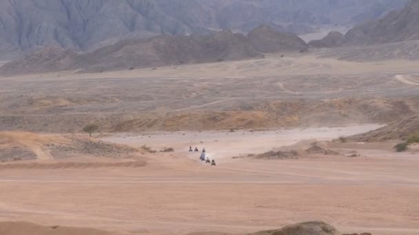 Grupp på Quad Bike rider genom öknen i Egypten på bakgrund av berg. Köra ATV. — Stockvideo