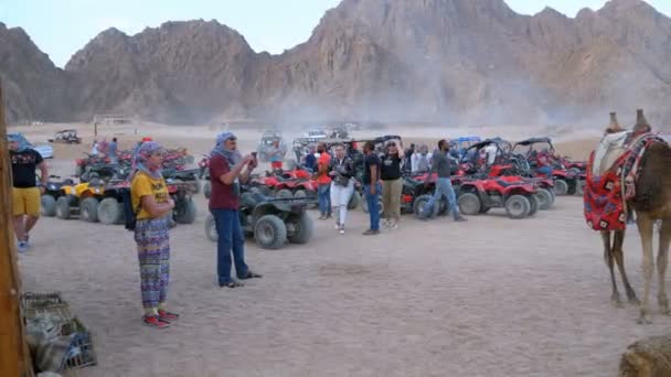 Camel i kolumny Quad Bikes stoją na parkingu na pustyni na tle gór. Jazdy ATVs. — Wideo stockowe