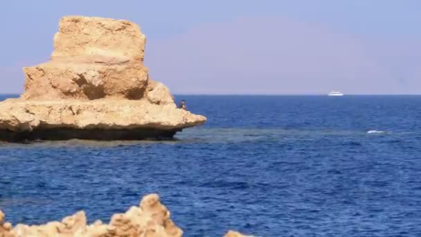 Playa rocosa en el Mar Rojo con acantilado cerca del arrecife de coral. Egipto. Resort en la costa del Mar Rojo . — Vídeos de Stock