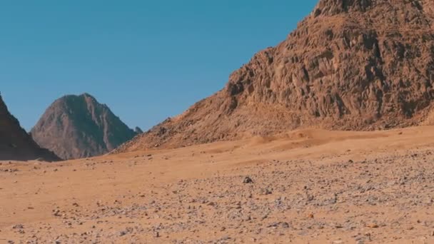 Sivatag Egyiptomban. Panorámás kilátás a sivatagra a hegyek és sziklák Egyiptomban — Stock videók