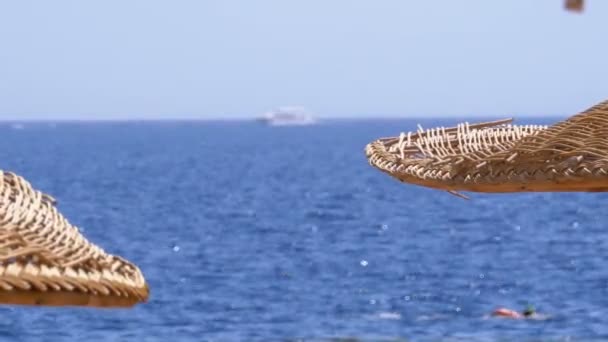 Sombrilla solar en una playa de coral en Egipto en el Mar Rojo . — Vídeos de Stock