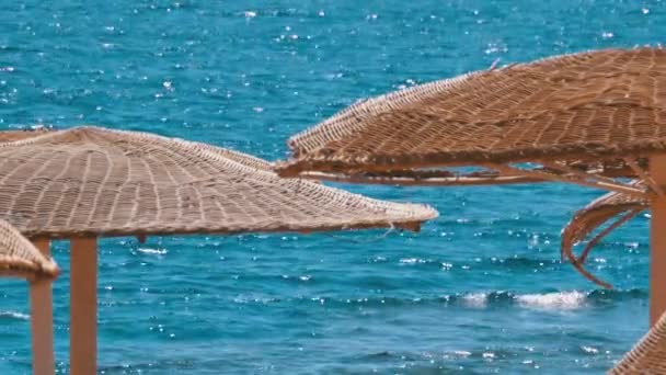 Töm stranden med paraplyer i Egypten på bakgrunden av Röda havet — Stockvideo