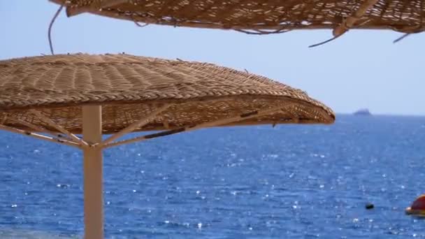 Paraplyer på bakgrunden av havet på den tomma stranden i Egypten — Stockvideo