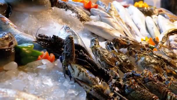 Poissons de mer frais, crabes, fruits de mer divers sont vendus sur le comptoir du magasin sur la rue — Video