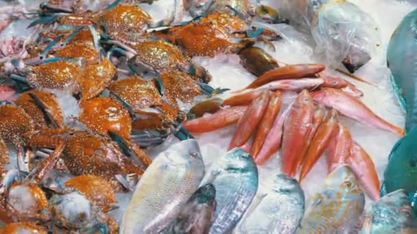 Свіжа морська риба, краби, різні морепродукти продаються на стільниці магазину на вулиці — стокове відео