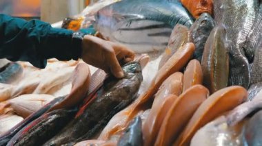 Taze Deniz Ürünleri, Sokak Pazarında Vitrinde Satılan Buzda Farklı Deniz Balıkları