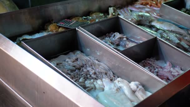 Peixes do mar fresco vendidos no balcão da loja na rua — Vídeo de Stock