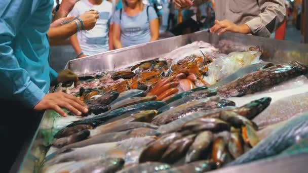 Verse zeevruchten, verschillende zeevissen in ijs verkocht op showcase op de straatmarkt — Stockvideo