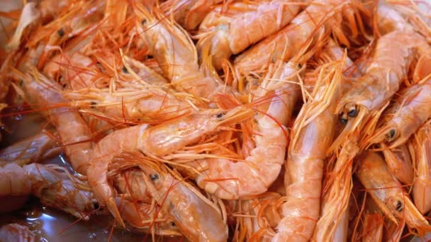 Les crevettes fraîches sont vendues dans une fenêtre ouverte sur le marché de la rue. Égypte — Video