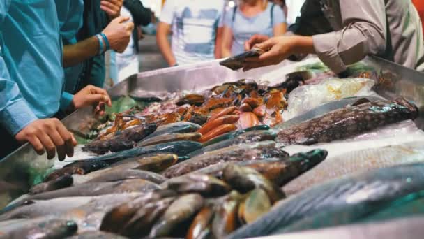 Frische Meeresfrüchte, verschiedene Meeresfische in Eis, die in einer Vitrine auf dem Straßenmarkt verkauft werden — Stockvideo