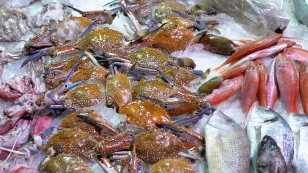 Pescado marino fresco se vende en el mostrador de la tienda en la calle — Vídeos de Stock