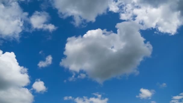 Wolken ziehen sanft in den blauen Himmel. Zeitraffer — Stockvideo