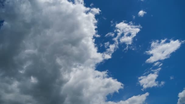 Molnen rör sig smidigt i den blå himlen. Timelapse — Stockvideo