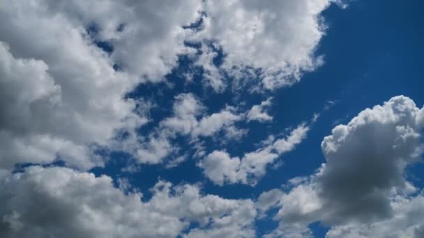Хмари рухаються плавно у блакитному небі. Timelapse — стокове відео