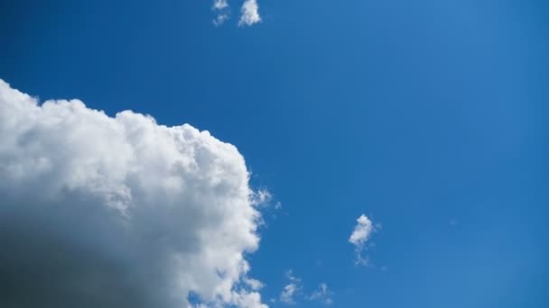 Molnen rör sig smidigt i den blå himlen. Timelapse — Stockvideo