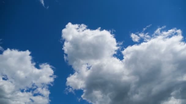 Molnen rör sig smidigt i den blå himlen. Timelapse — Stockvideo