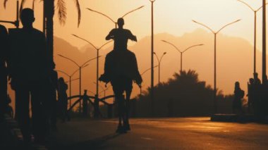 Devedeki Adamın Silueti Şehir'de Yol boyunca Gün Batımı'na doğru ilerliyor. Mısır. Yavaş Çekim