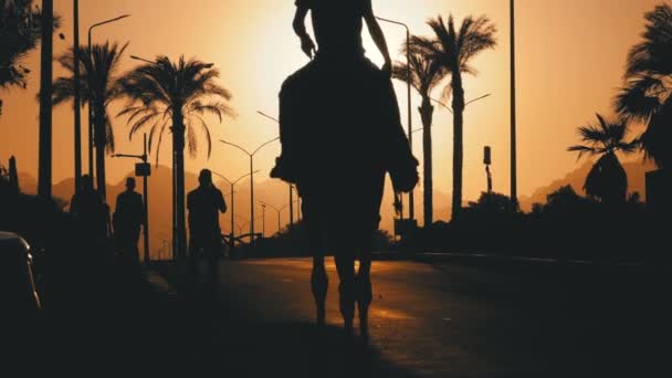 Silhouette de l'homme sur chameau se déplaçant le long de la route dans la ville dans le coucher du soleil. L'Egypte. Mouvement lent — Video