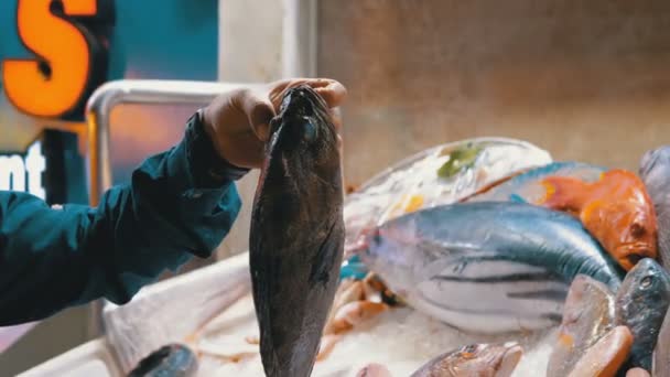 Mariscos frescos, diferentes pescados marinos en hielo vendidos en escaparate en el mercado callejero — Vídeos de Stock
