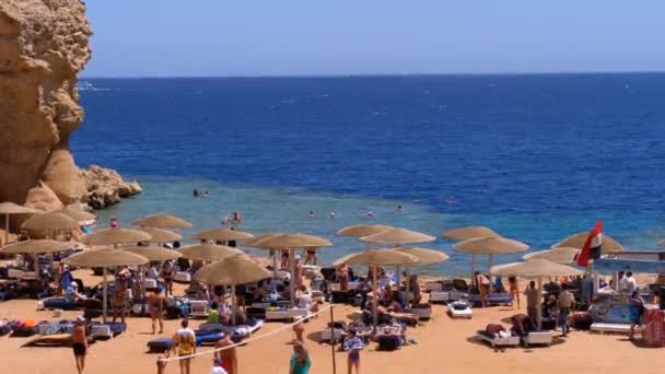 Rotsachtig strand in een baai met parasols en ligbedden in Egypte aan de rode zee. — Stockvideo