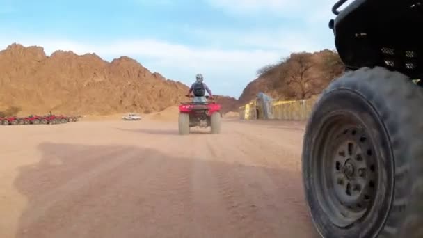 Mujer está montando una bicicleta cuádruple en el desierto de Egipto. Vista dinámica en movimiento . — Vídeos de Stock