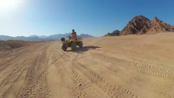 Sexy Mädchen fährt ein Quad-Fahrrad in der Wüste von Ägypten. Dynamischer Blick in Bewegung. — Stockvideo