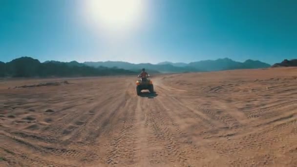 Mujer Sexy está montando una bicicleta cuádruple en el desierto de Egipto. Vista dinámica en movimiento . — Vídeos de Stock