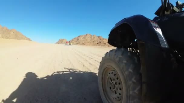 Körning av fyrhjuling i öknen i Egypten. Extrem bild av hjulet terrängfordon — Stockvideo