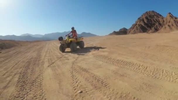 Menina sexy está montando uma bicicleta quad no deserto do Egito. Vista dinâmica em movimento . — Vídeo de Stock