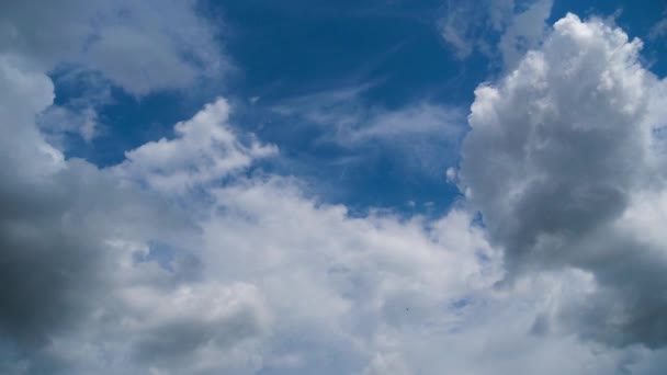 Wolken ziehen sanft in den blauen Himmel. Zeitraffer — Stockvideo