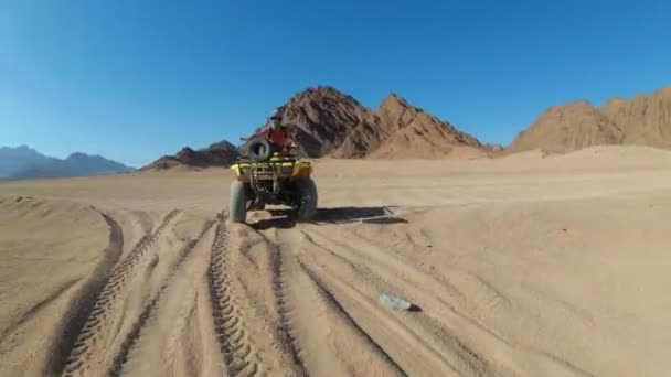 Mujer Sexy está montando una bicicleta cuádruple en el desierto de Egipto. Vista dinámica en movimiento . — Vídeos de Stock