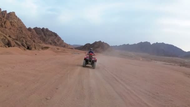 Mujer está montando una bicicleta cuádruple en el desierto de Egipto. Vista dinámica en movimiento . — Vídeos de Stock