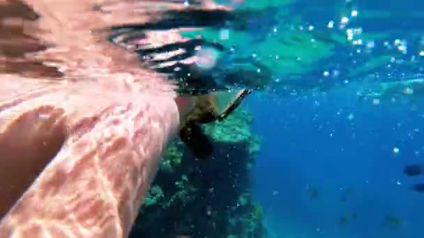 Junge mit Maske und Schlauch schnorchelt zum ersten Mal im Roten Meer in der Nähe von Korallenriffen — Stockvideo