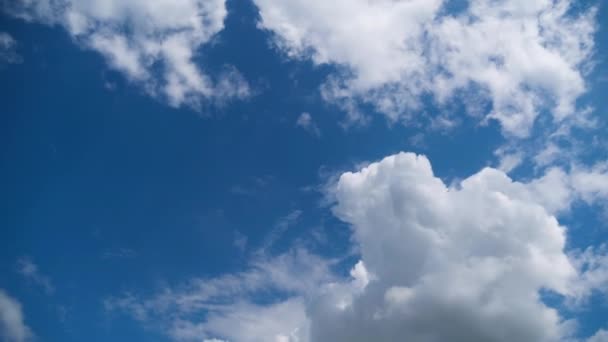 Las nubes se mueven suavemente en el cielo azul. Cronograma — Vídeo de stock