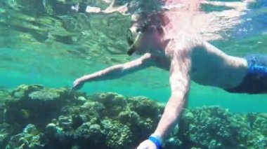 Genç adam Red Sea, Mısır'daki renkli resif şnorkel