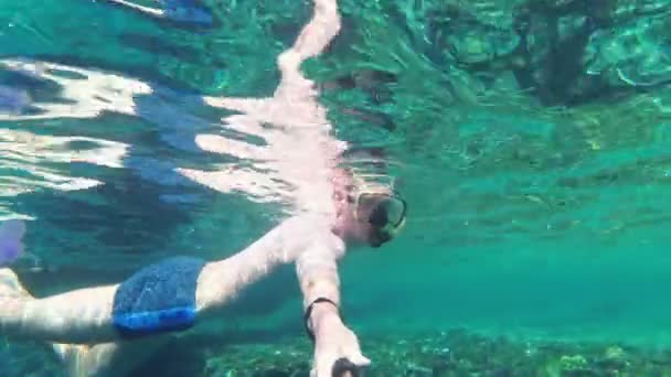 Молодой человек ныряя с маской на красочном рифе в Красном море, Египет — стоковое видео