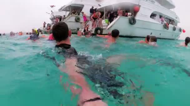 Mladý muž v potápěčském obleku plaví v otevřeném Rudém moři s turisty, Egyptem. — Stock video