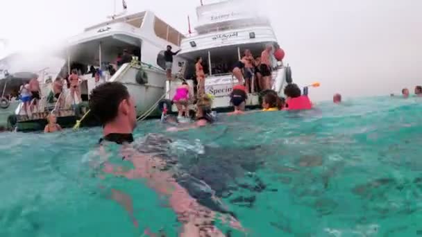 Молода людина в дайвінг костюмі плаває на відкритому Червоному морі з туристами, Єгипет. — стокове відео