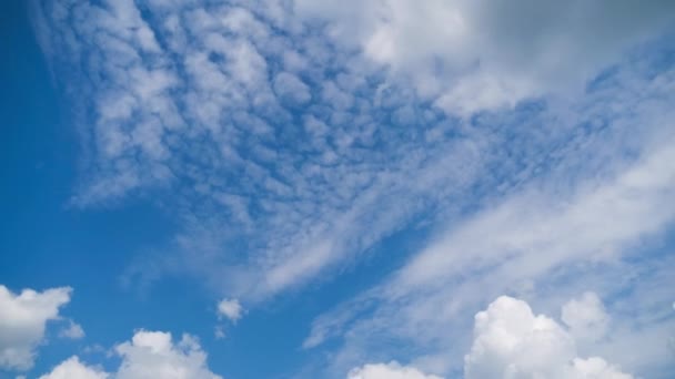 Las nubes se mueven suavemente en el cielo azul. Cronograma — Vídeos de Stock
