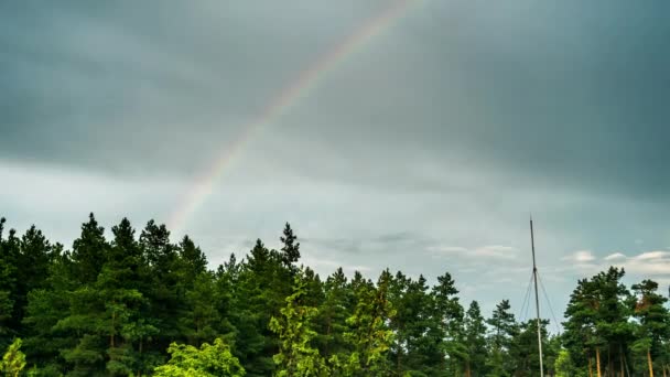 Regenboog in de lucht boven de bomen. Timelapse. — Stockvideo