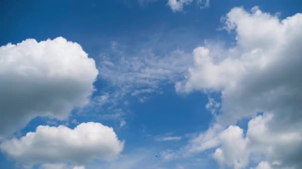 Nuvens se movem suavemente no céu azul. Prazo de validade — Vídeo de Stock