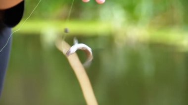 Yakalanan balık bir olta üzerinde asılı bir kanca üzerinde sallanır. Balıkçı -lık. Yavaş Çekim