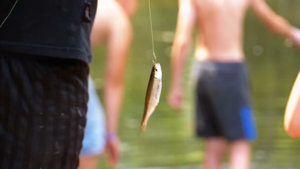 釣り糸に吊り下げられたフックに釣り魚がぶら下がっています。釣り。スローモーション — ストック動画