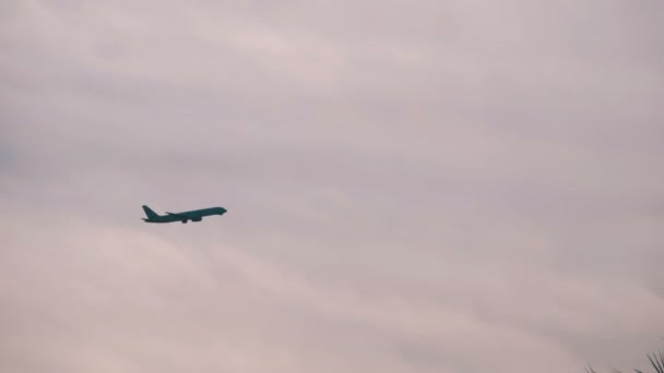Самолет летит высоко в небе на фоне силуэтов пальмового дерева — стоковое видео
