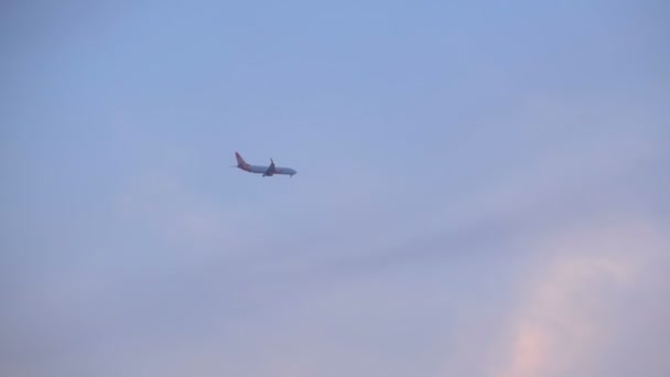 Plane Flying high in the Sky against a background of Silhouettes of Palm Tree — Stock Video