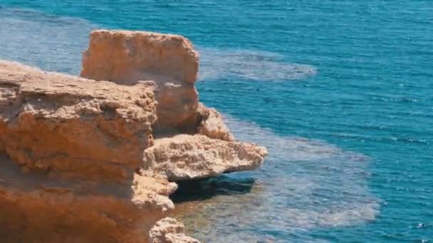 Roca en el Mar Rojo en la playa de Egipto. Fondo fino para las vacaciones en el Resort — Vídeo de stock