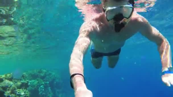 Giovane uomo che fa snorkeling sulla colorata barriera corallina nel Mar Rosso, Egitto — Video Stock