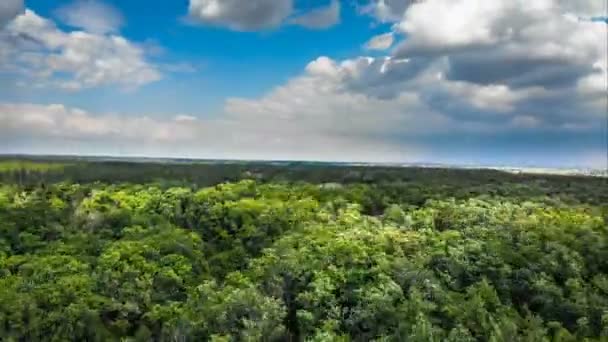 Pohled hyperpoznený vzdušný výhled na zelený les s pohyblivými mraky v modrém nebi — Stock video